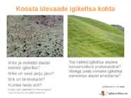 Liustikud ettekanne #35