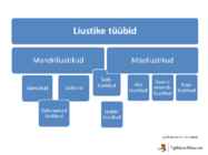 Liustikud ettekanne #6