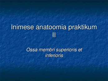 Ossa membri superioris et inferioris