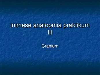 Cranium