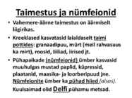 Antiik Kreeka aiad #14