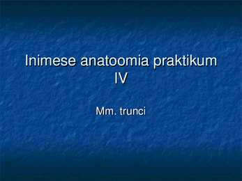 Inimese anatoomia praktikum IV