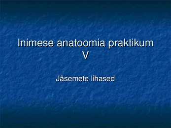 Jäsemete lihased