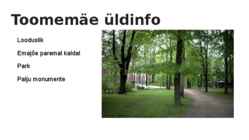 Tartu raekoja platsi ja toomemäge tutvustavad slaidid #5