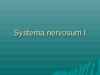 Systema nervosum