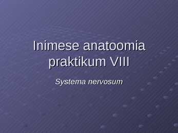 Systema nervosum