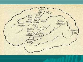 Encephalon #11