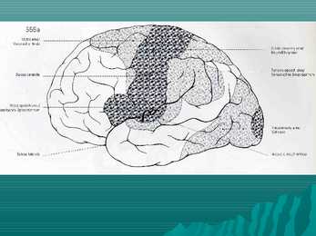 Encephalon #12
