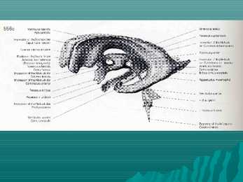 Encephalon #14