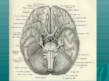 Encephalon #15