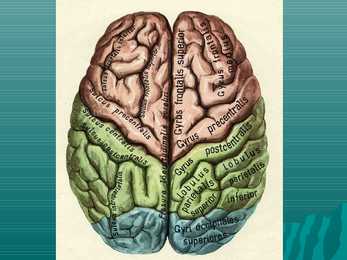 Encephalon #3