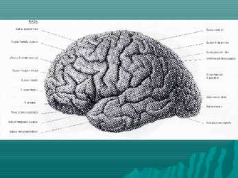 Encephalon #6