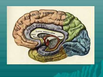 Encephalon #7