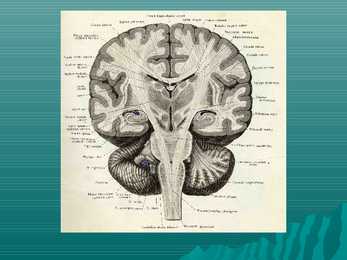 Encephalon #10