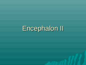 Encephalon