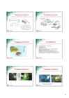 Ladestamine #11