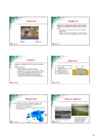 Ladestamine #13