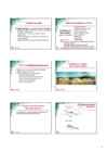Ladestamine #4