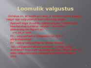VALGUS JA VALGUSTUS TÖÖKOHAL #7