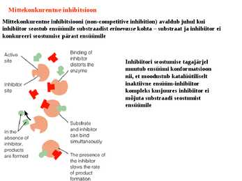Ensüümikineetika #20