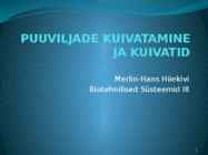 PUUVILJADE KUIVATAMINE JA KUIVATID