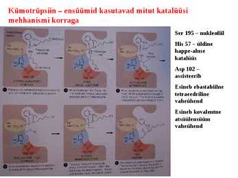 Katalüüs #25