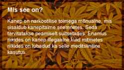 Weed #2