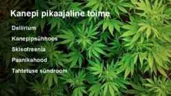 Weed #11