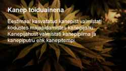 Weed #3