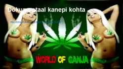 Weed #6