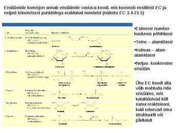 Koensüümid ja vitamiinid #4