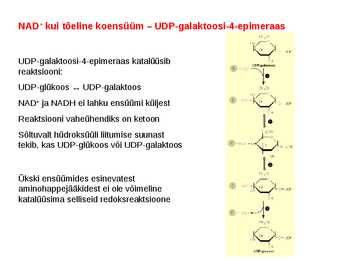 Koensüümid ja vitamiinid #9