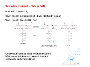 Koensüümid ja vitamiinid #10