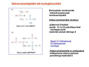 Lipiidid #13