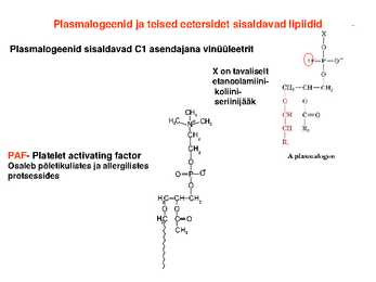 Lipiidid #16