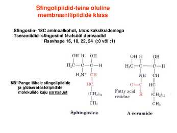 Lipiidid #17