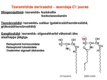 Lipiidid #18