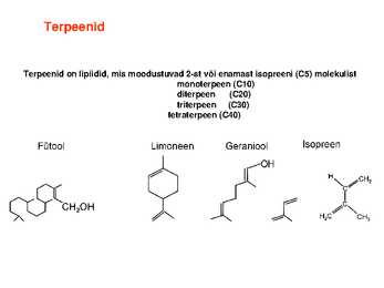 Lipiidid #21