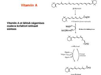 Lipiidid #27