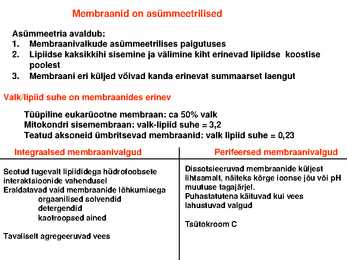Lipiidid #30