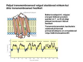 Lipiidid #32