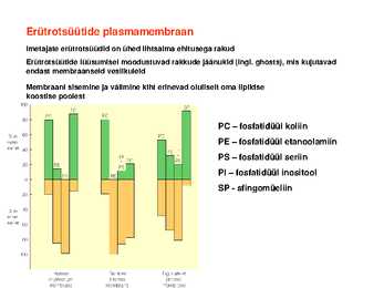 Lipiidid #35