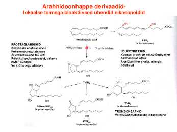 Lipiidid #8