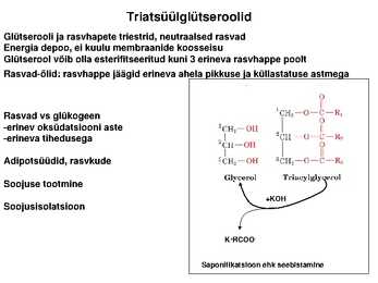 Lipiidid #10