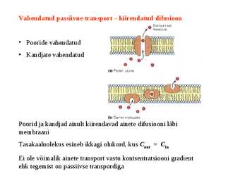 Membraantransport #8