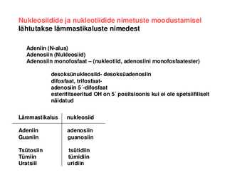 Nukleiinhapped #7