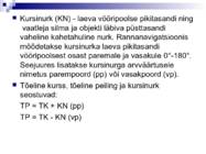 Väikelaevajuhid - navigatsioon #12
