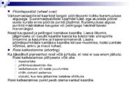Väikelaevajuhid - navigatsioon #117