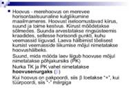 Väikelaevajuhid - navigatsioon #56