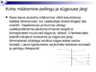 Väikelaevajuhid - navigatsioon #76